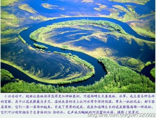 有一种风景