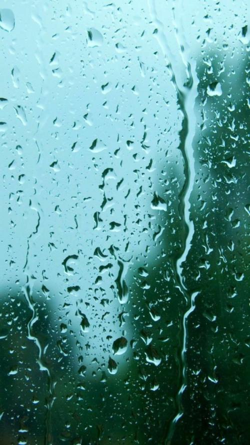 那天，雨一直在下