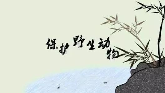 我想做的一件事