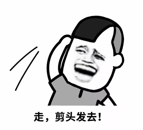 我的发型师