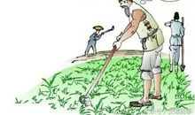 独倚绿栏杆，闲看秋风雨