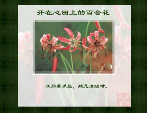 百合盛开在心脏领域