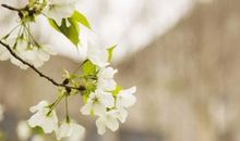 分享知识收获成长