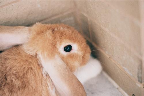 藏在被子里的爱