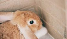 藏在被角里的爱