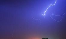 我的小狗——闪电