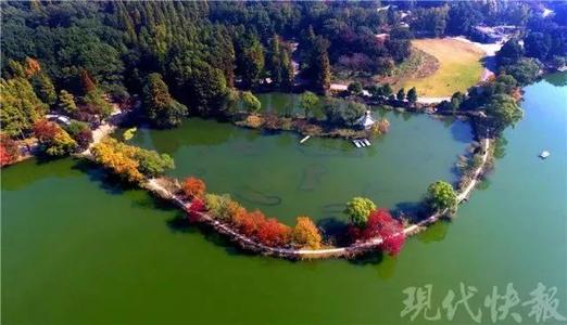 美丽的紫色山