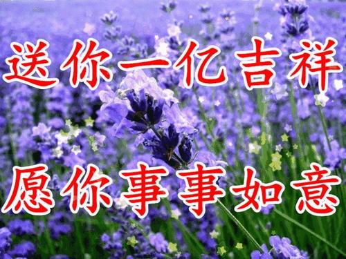 最美丽的问候