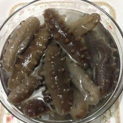 海参