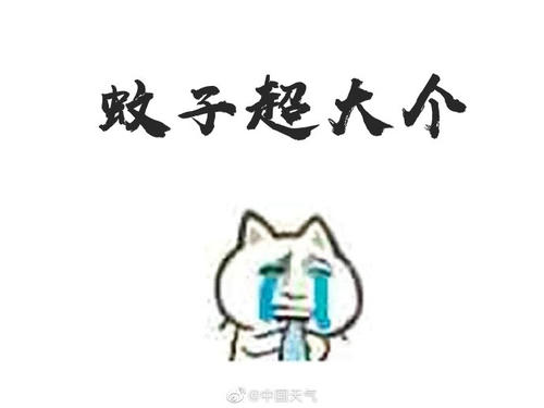 带什么去学校
