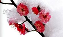 留下善良在心中