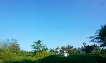 爸爸公司一日游