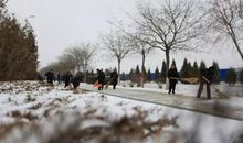 那份情温暖了我