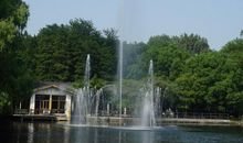 共青森林公园游玩