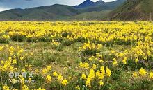 雨是我心中最美的风景线
