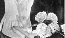 我最欣赏林徽因