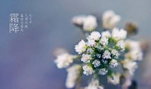 关于霜降的作文