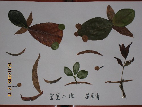 类“有趣的收藏”