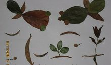 班级“趣事集”