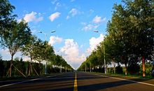 我身边最有智慧的人