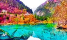 多一份心思多一份快乐