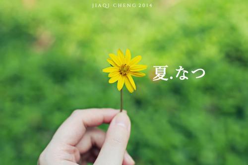 那年夏天