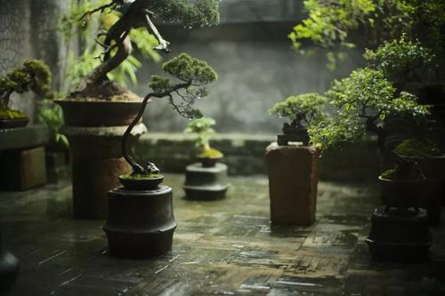 困境与地位