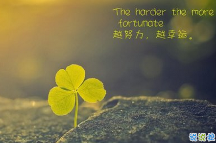 成功在于努力