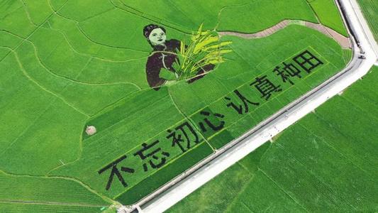 毛坝场