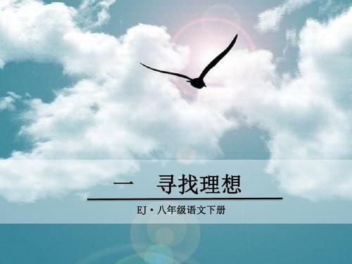 寻找理想