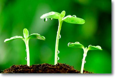 仍然可以学习为时已晚