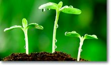 来不及依然可以学