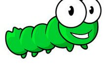 我喜爱的小昆虫