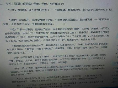 狗追逐的构图