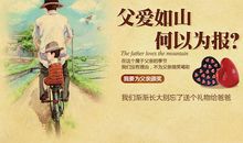 我把孝心送给你