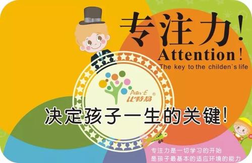 我学会了专注