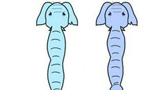 我所认识的丁丁