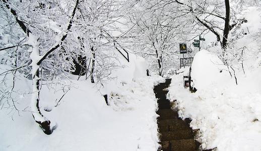 紫山雪