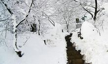 紫金山的雪