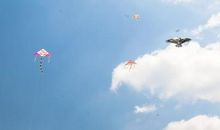 放风筝留给我的美好印象