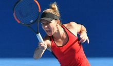 快乐的网球运动会