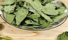 记忆中的薄荷清香