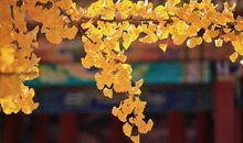 一路前行，一路感伤