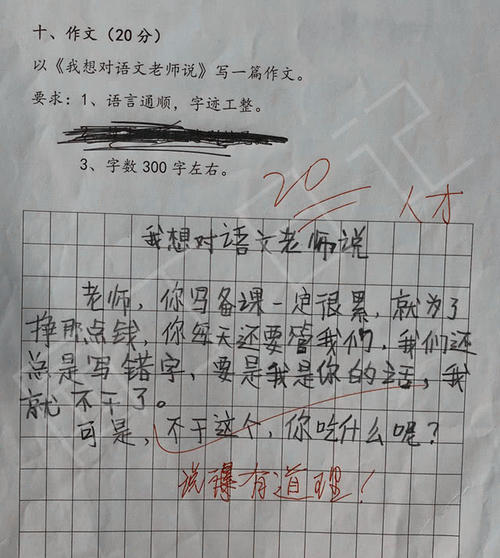 我的中文老师好多变