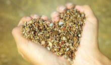 做一颗善良的种子