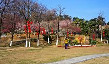 美丽的古林公园