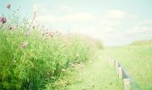 吃苦也是一种幸福