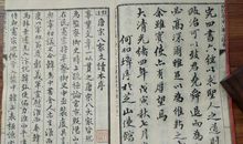 关于柳宗元的作文