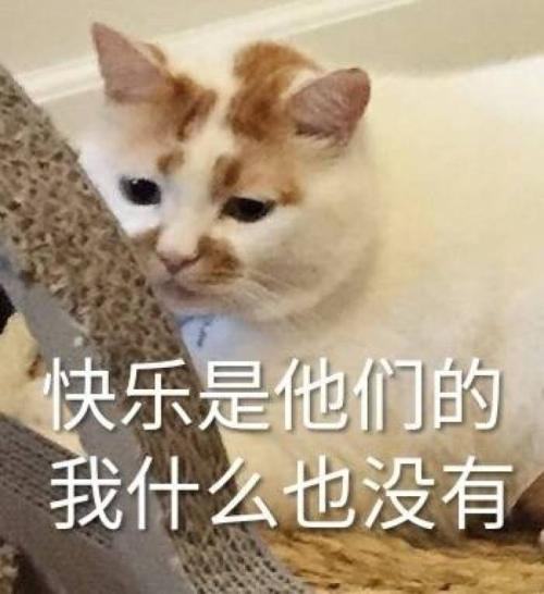 这也很好玩