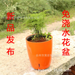 吸水花盆的启示